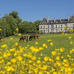Chateau D'ygrande - Teritoria 4* Ygrande