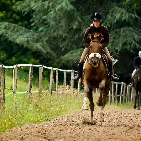 Chateau D'ygrande - Teritoria 호텔