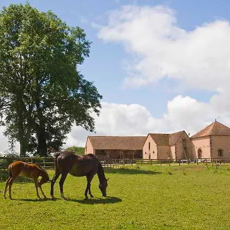 Chateau D'ygrande - Teritoria Ygrande