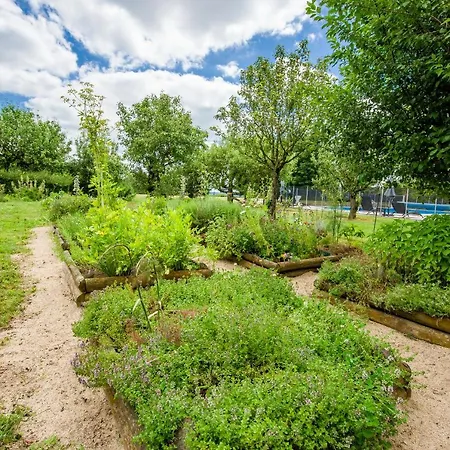 Chateau D'ygrande - Teritoria 호텔