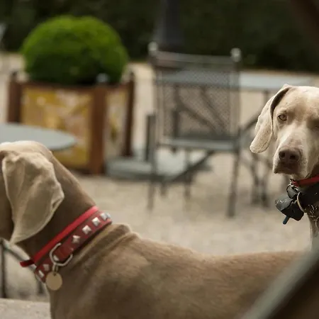 Chateau D'ygrande - Teritoria