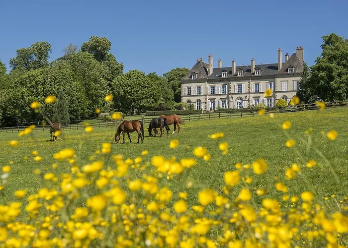 Chateau D'ygrande - Teritoria 4* Ygrande