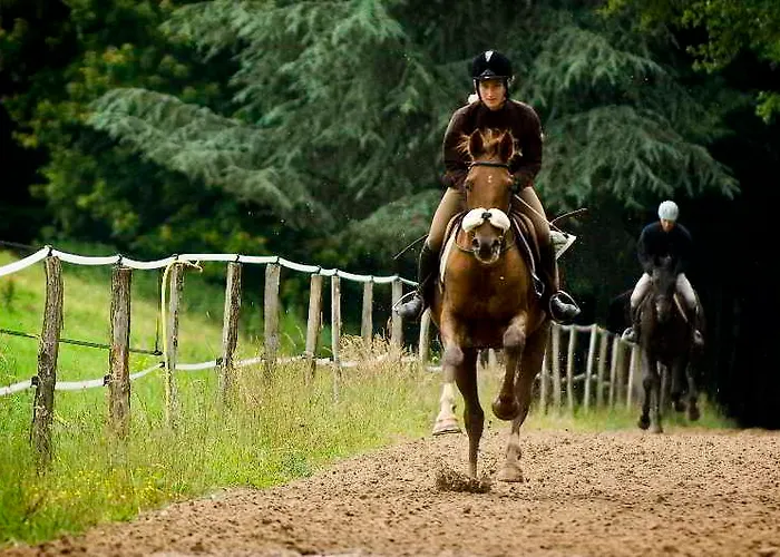 Chateau D'ygrande - Teritoria Hotel
