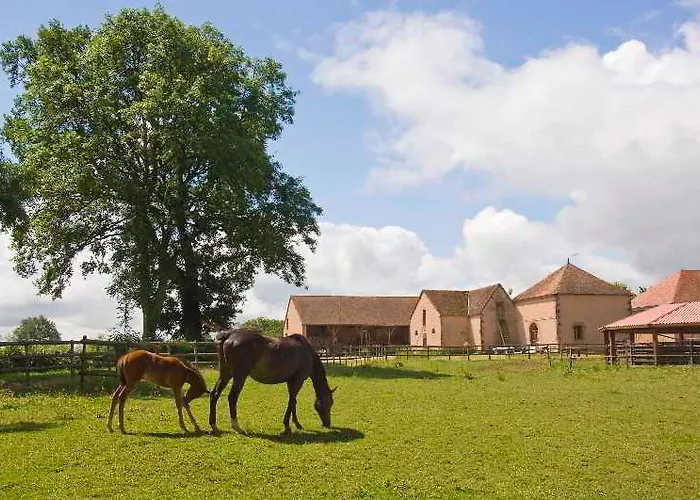 Chateau D'ygrande - Teritoria Ygrande